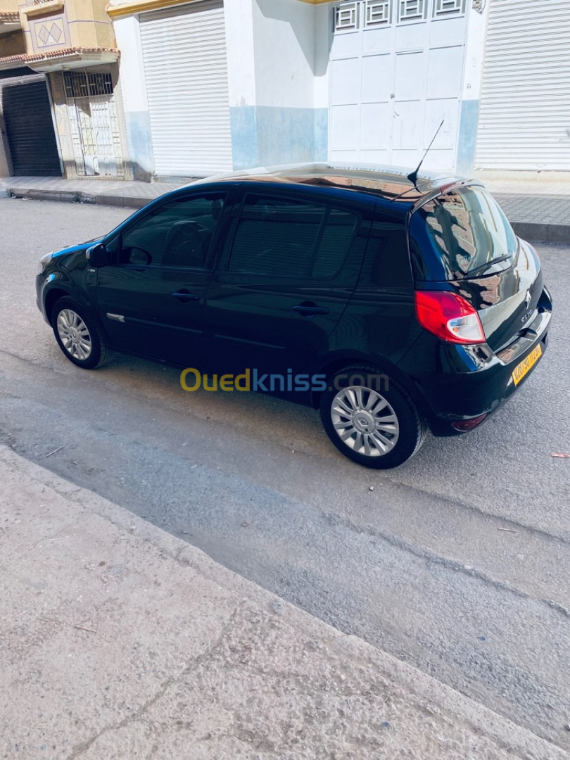 Renault Clio 3 2012 Night and Day