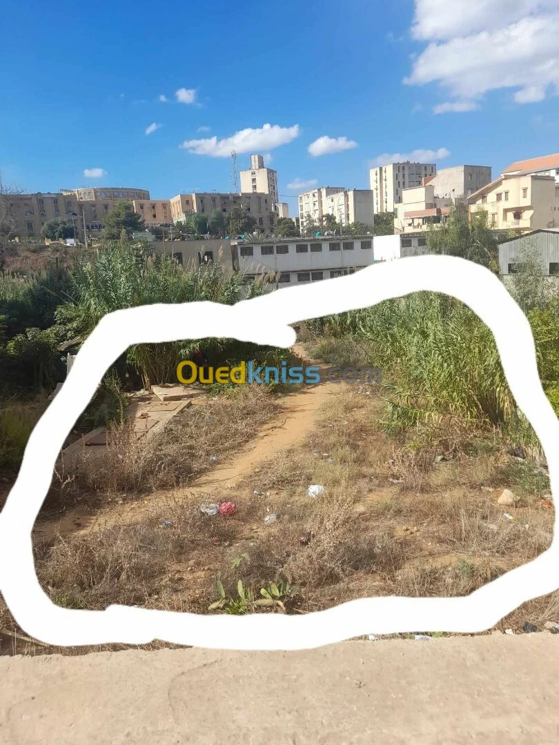 Vente Terrain Alger Zeralda