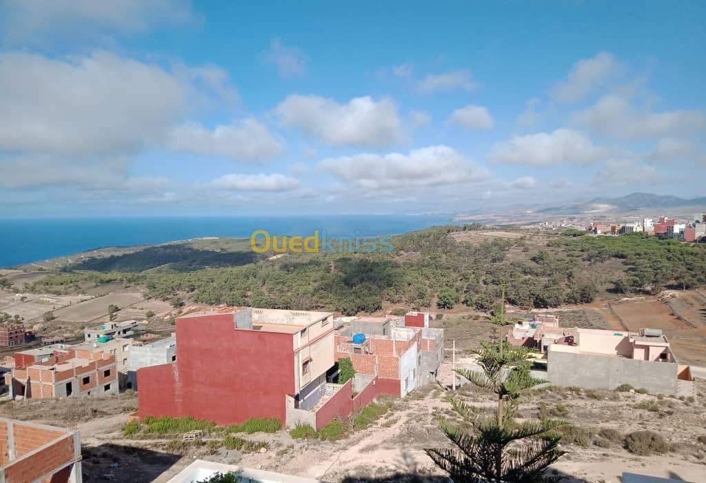 Vente Terrain Tlemcen Marsa ben mhidi