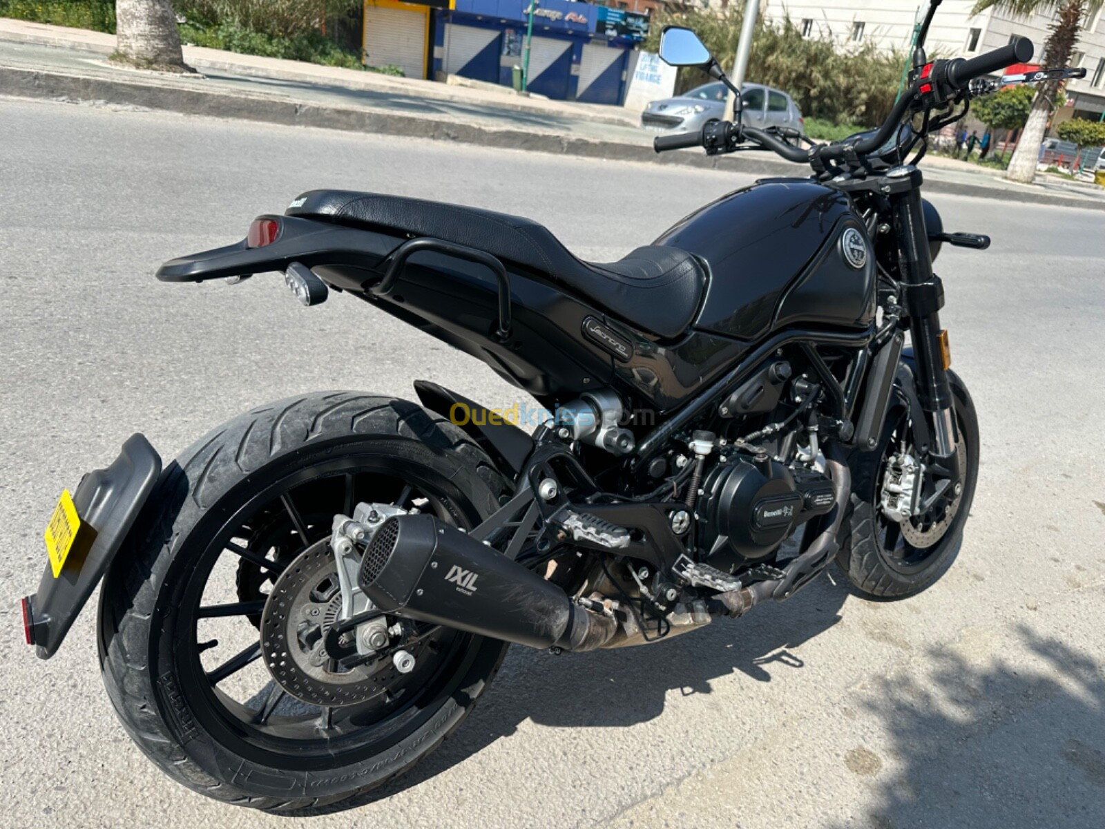 Leoncino Benelli 2020