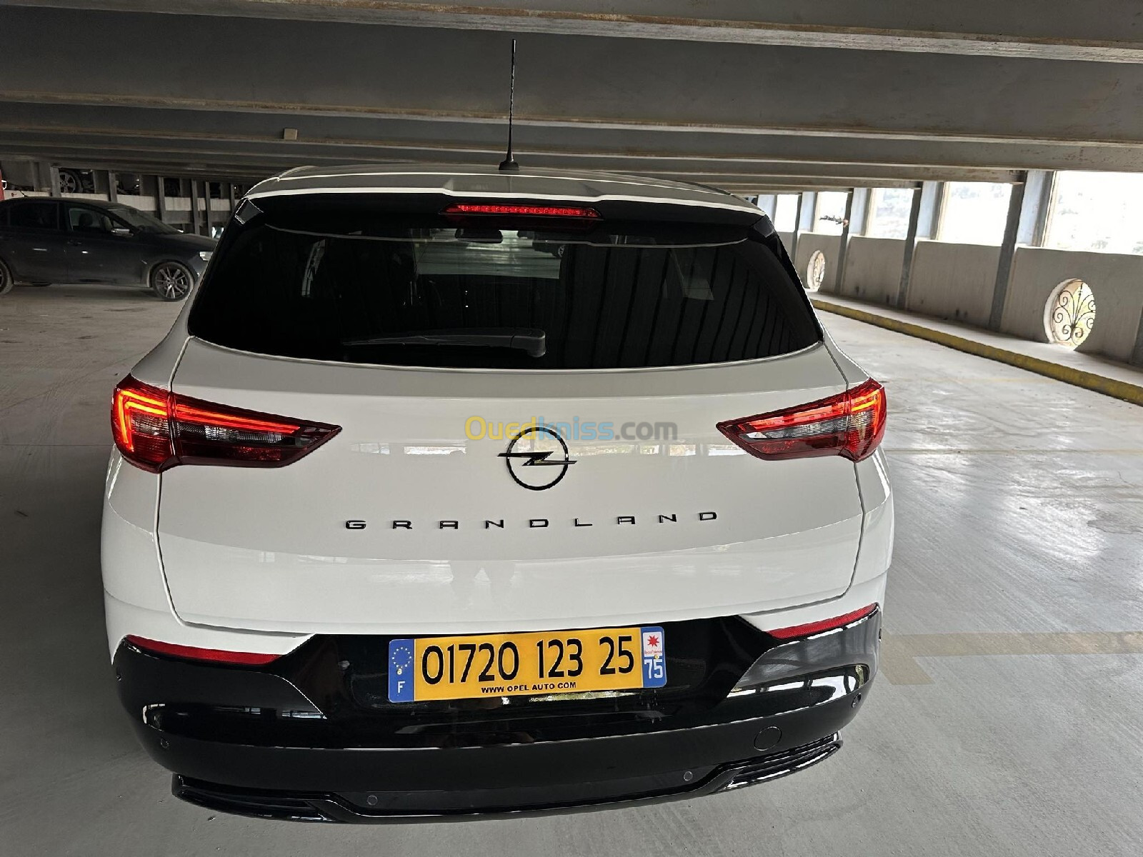 Opel GrandLand 2023 Gsline