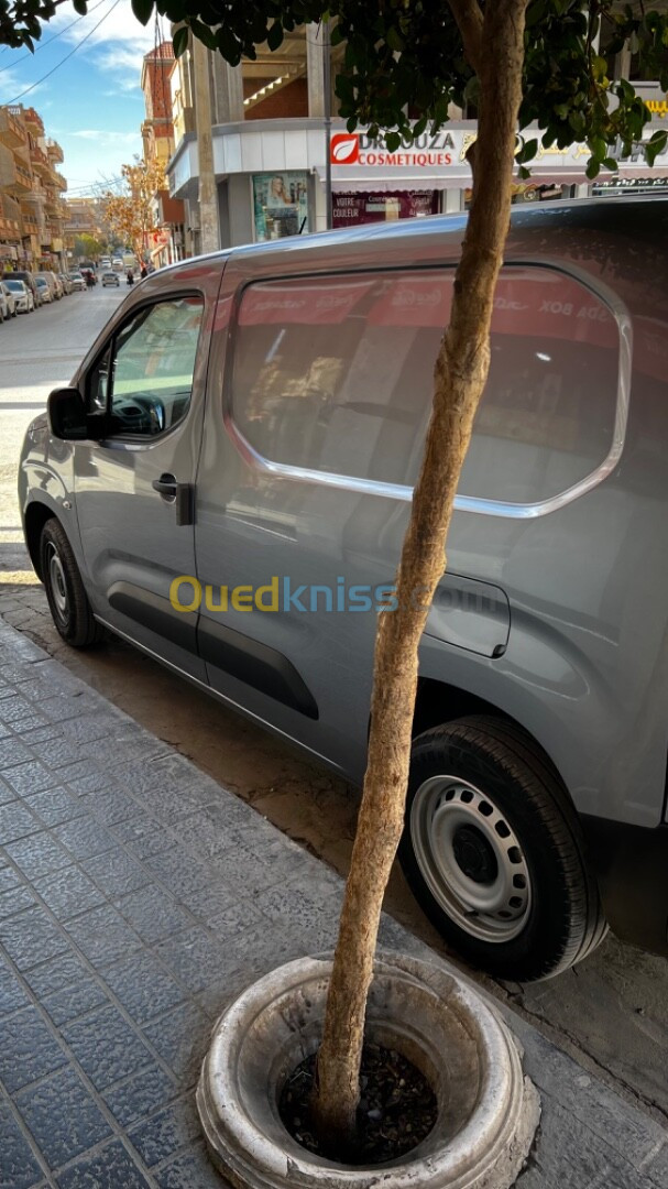 Fiat Doblo 2024 Doblo