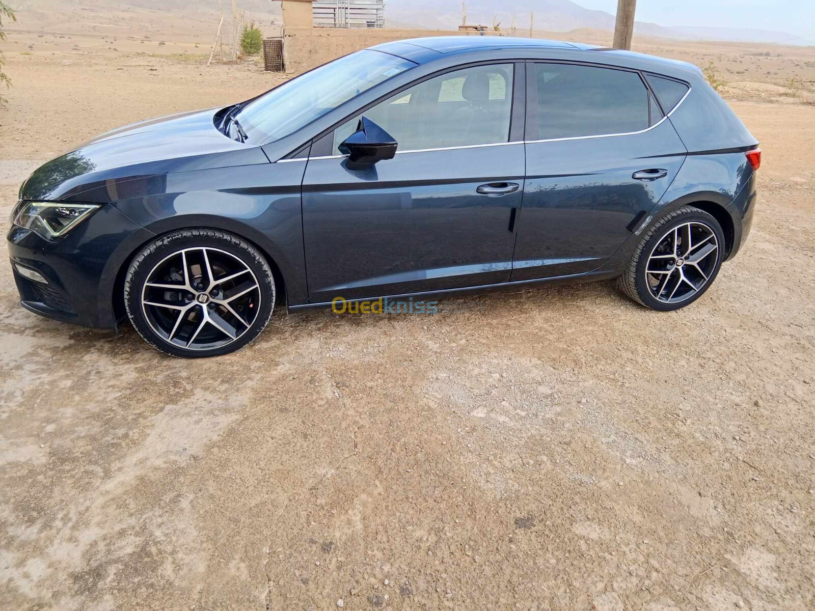 Seat Leon 2019 Bets