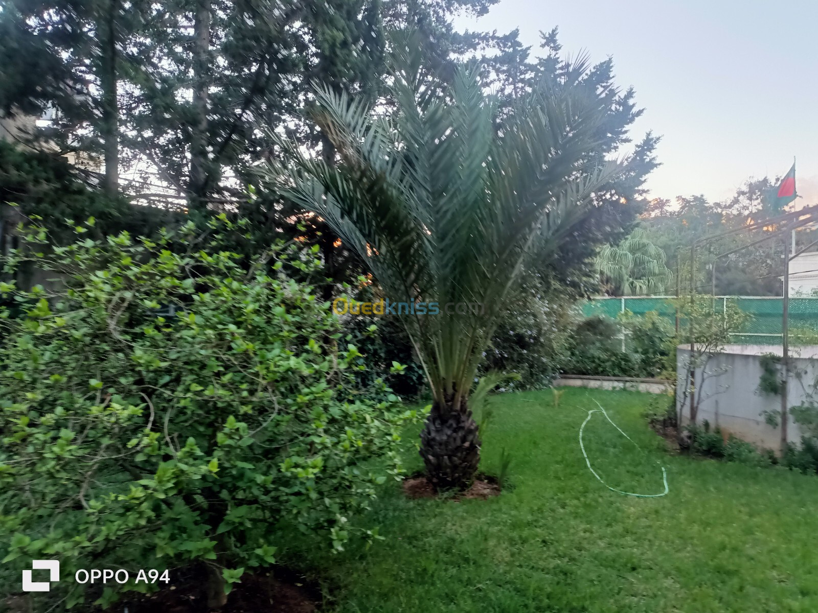 Vente Villa Alger El biar