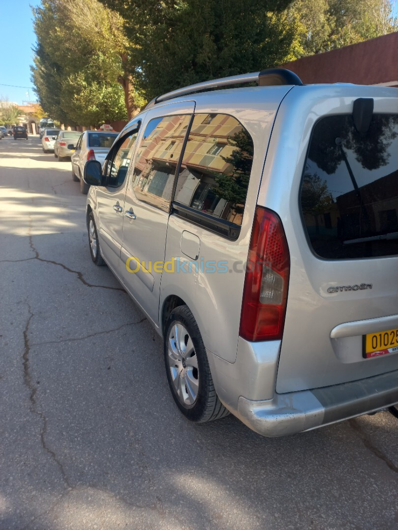 Citroen Berlingo 2009 Berlingo