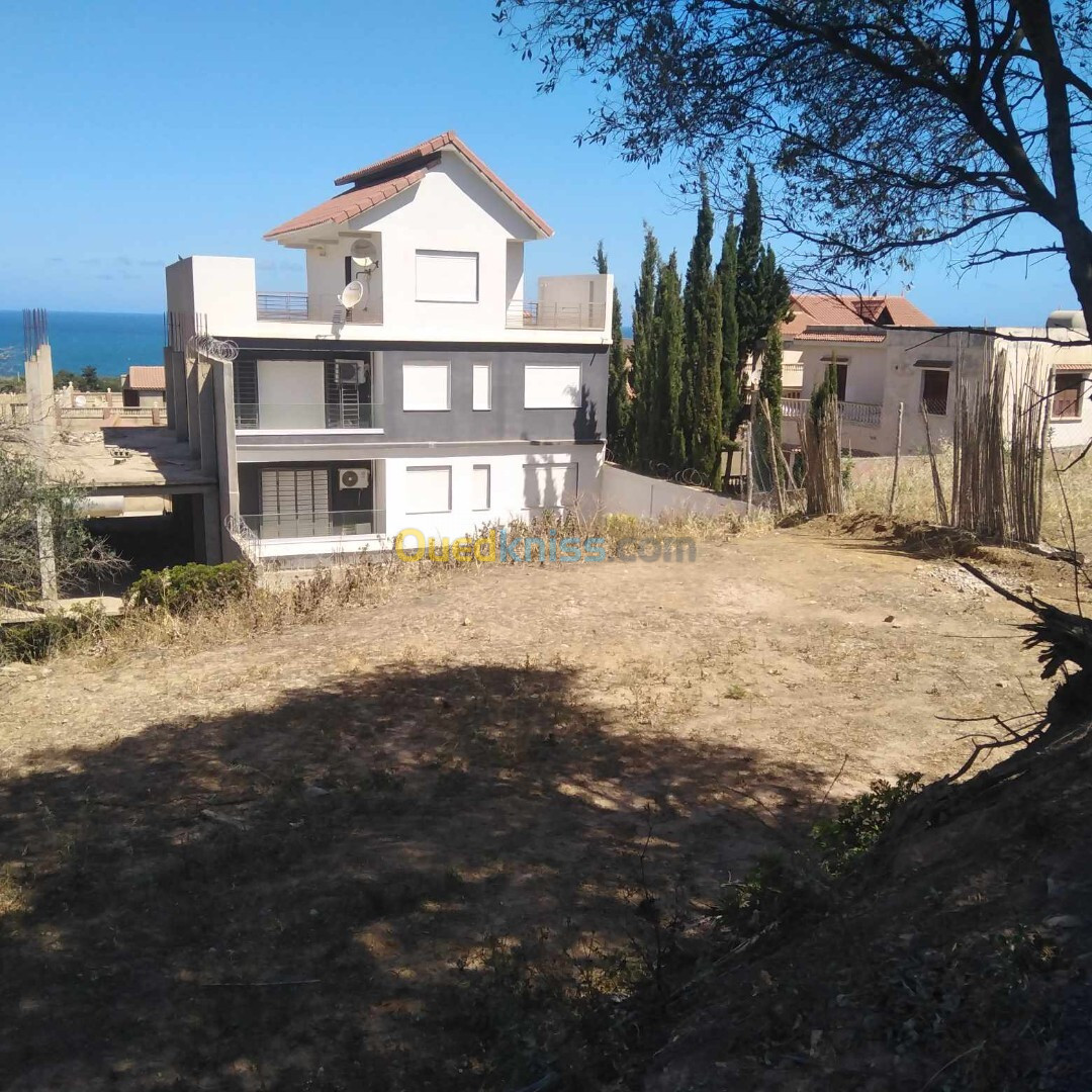 Vente Terrain Tipaza Cherchell