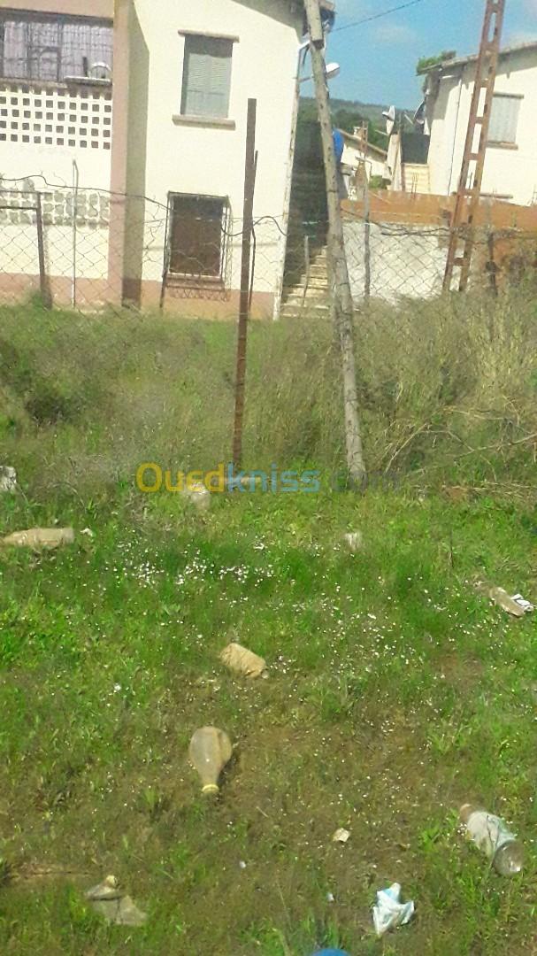 Vente Appartement F3 El Tarf El taref