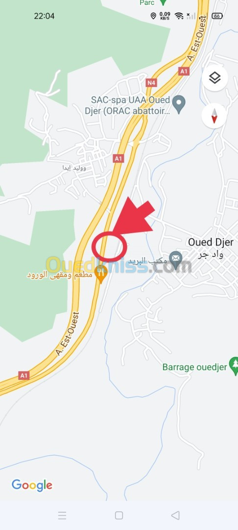 Location Local Blida Oued djer