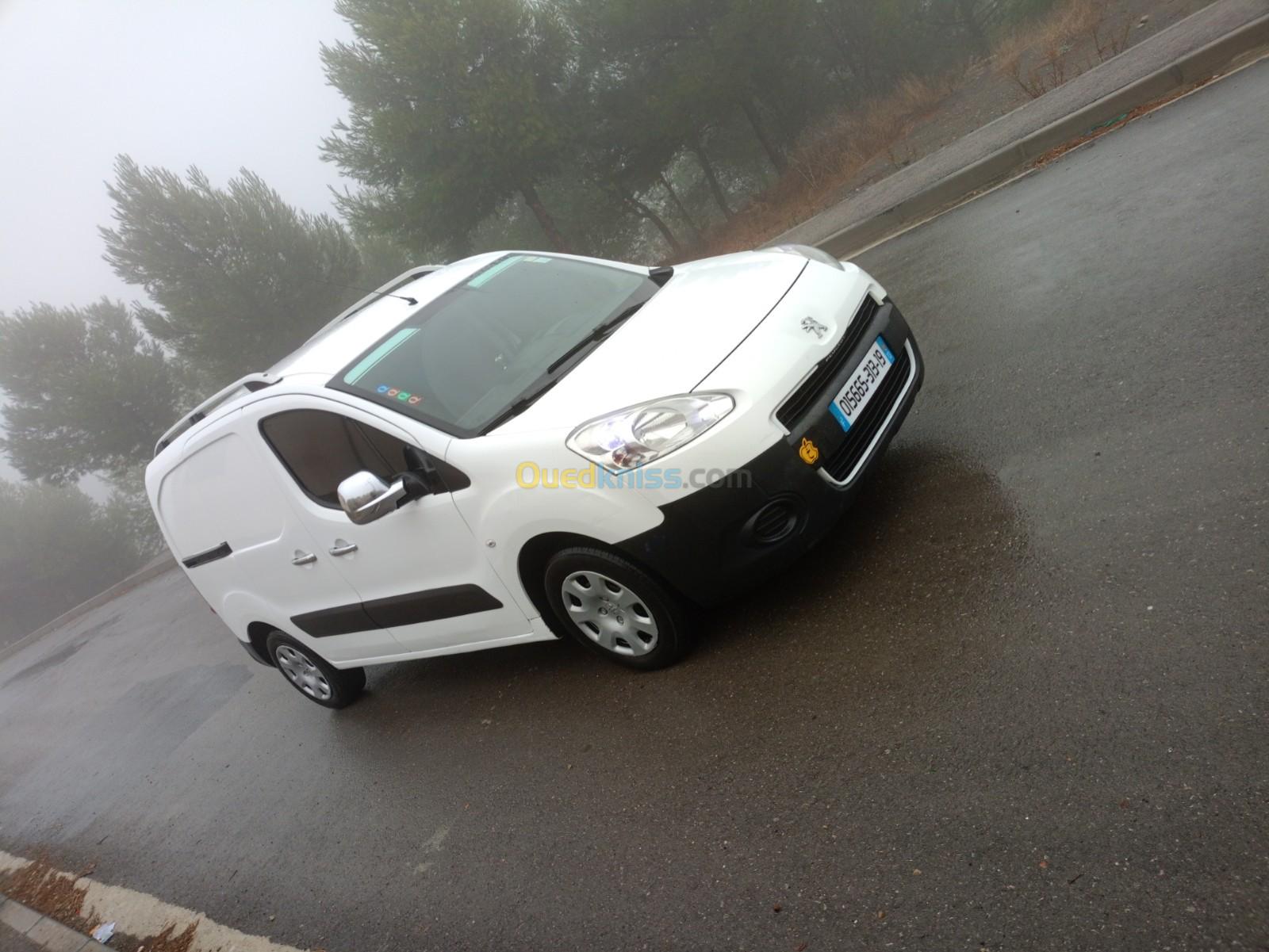 Peugeot Partner 2013 B9