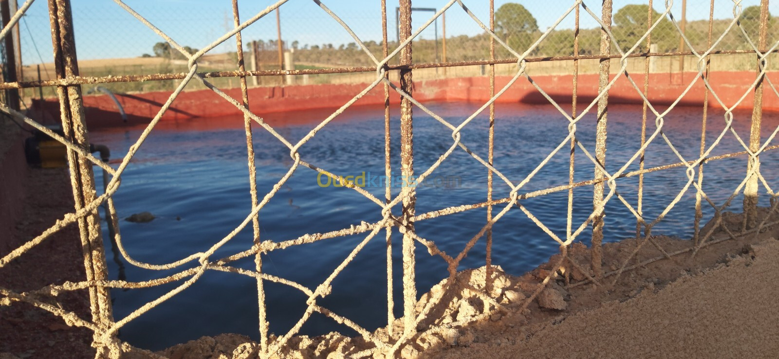 Vente Terrain Agricole Sidi Bel Abbès Hassi dahou