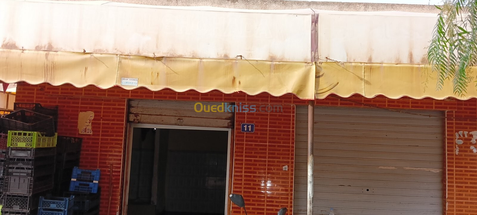 Vente Local Chlef Tenes