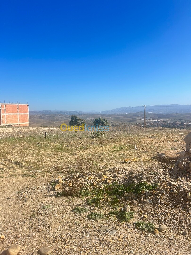 Vente Terrain Boumerdès Zemmouri