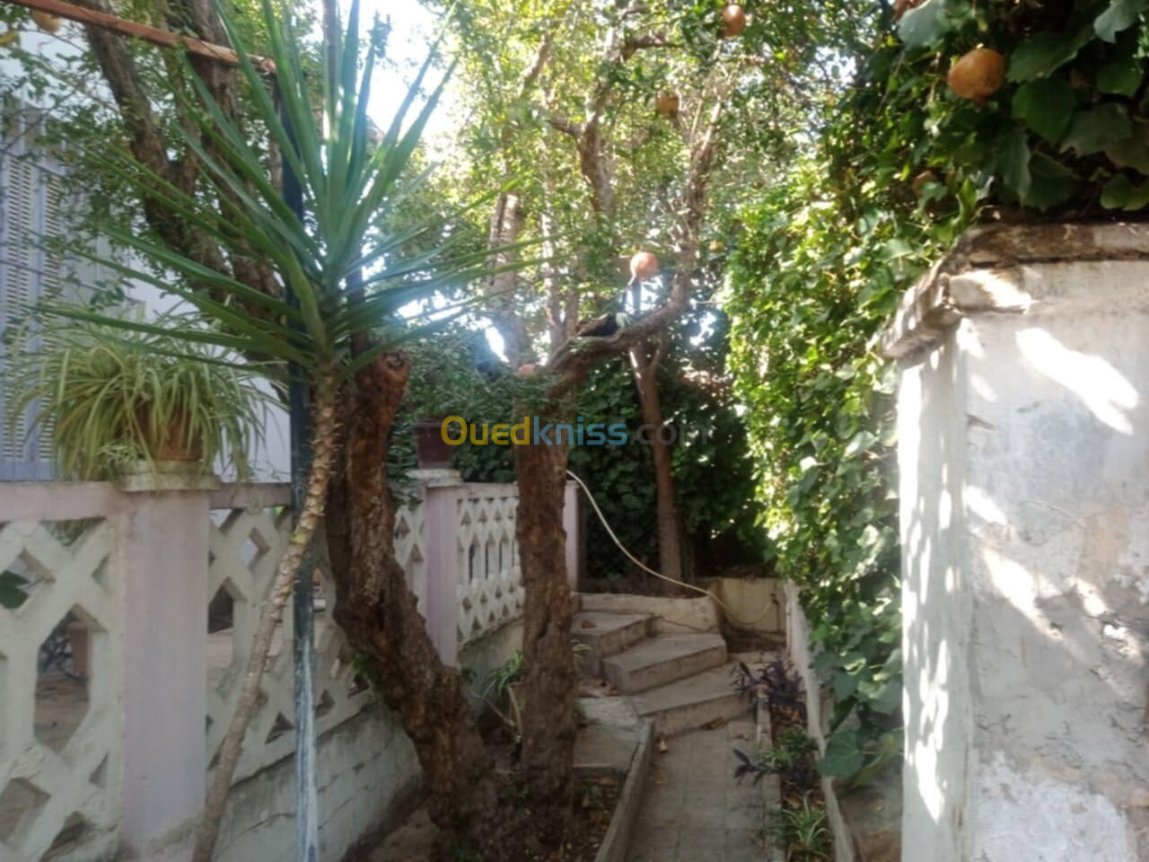 Vente Villa Guelma Guelma