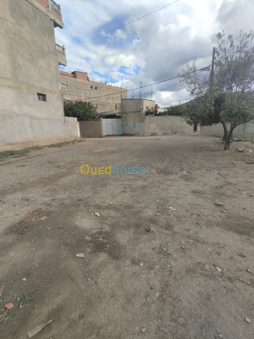 Vente Terrain Blida Ouled selama