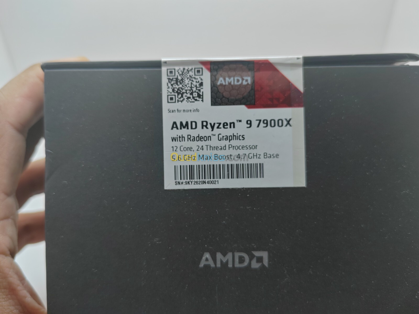 AMD Ryzen 9 7900X