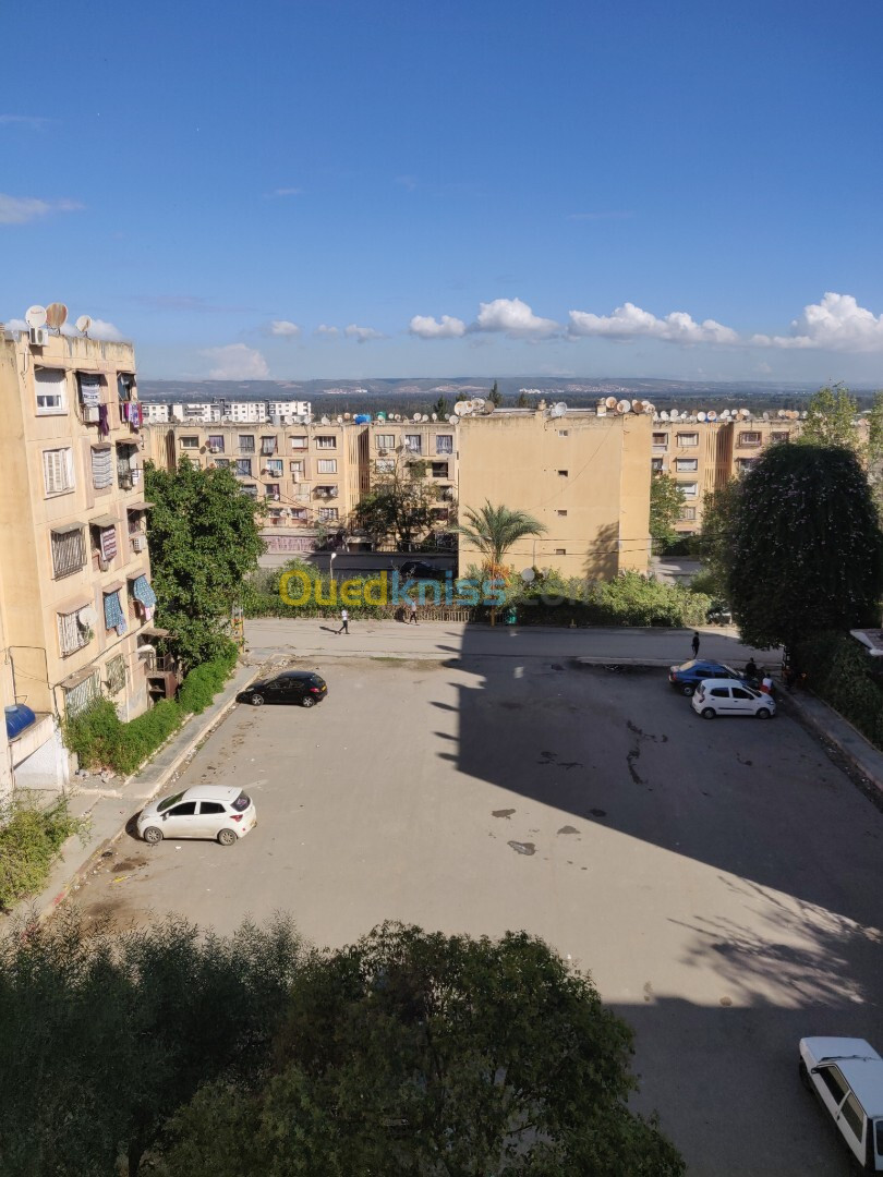 Vente Appartement F4 Blida El affroun