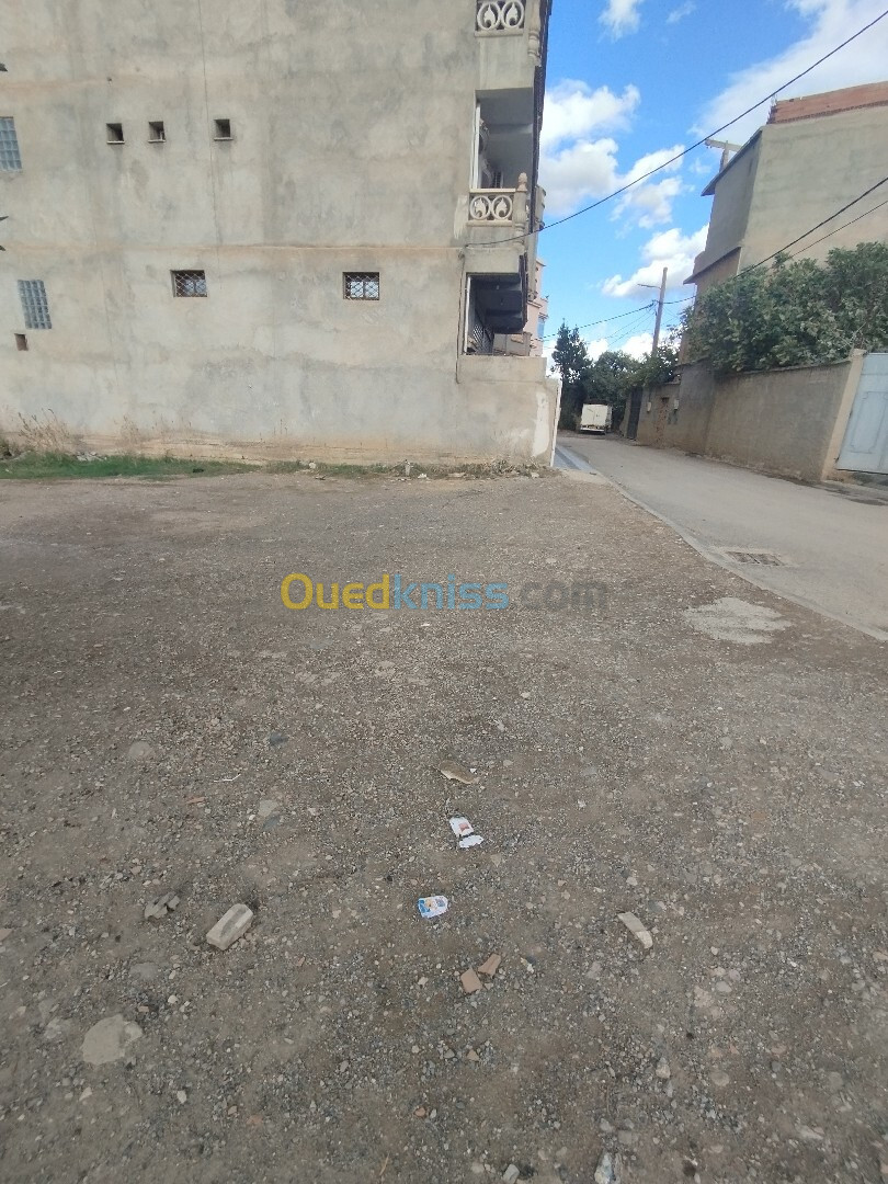 Vente Terrain Blida Ouled selama