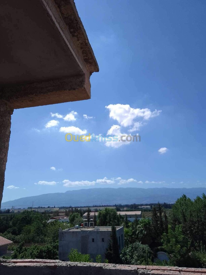 Vente Villa Blida Boufarik