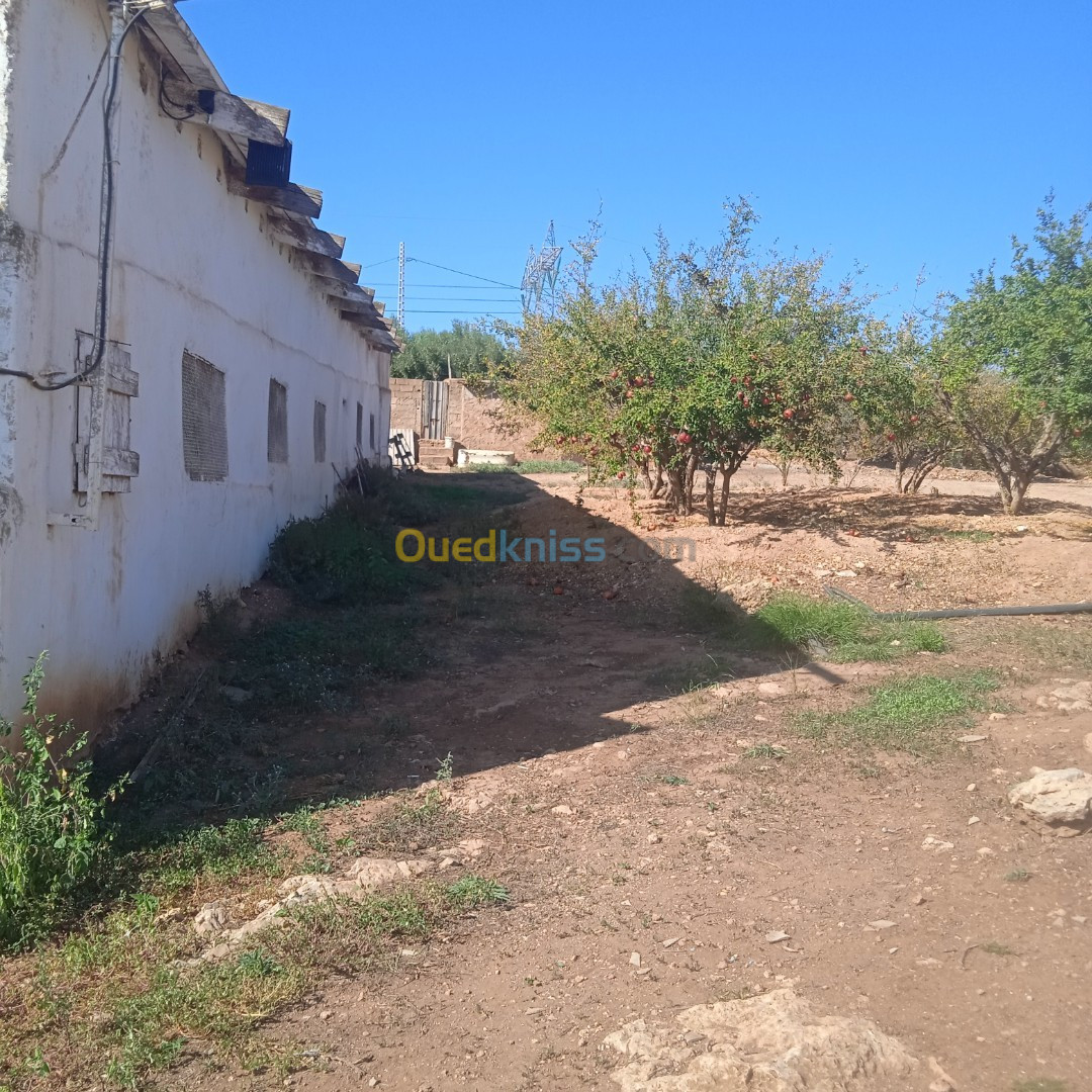 Vente Terrain Oran Misseghine