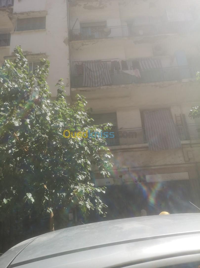Vente Appartement F1 Alger Alger centre