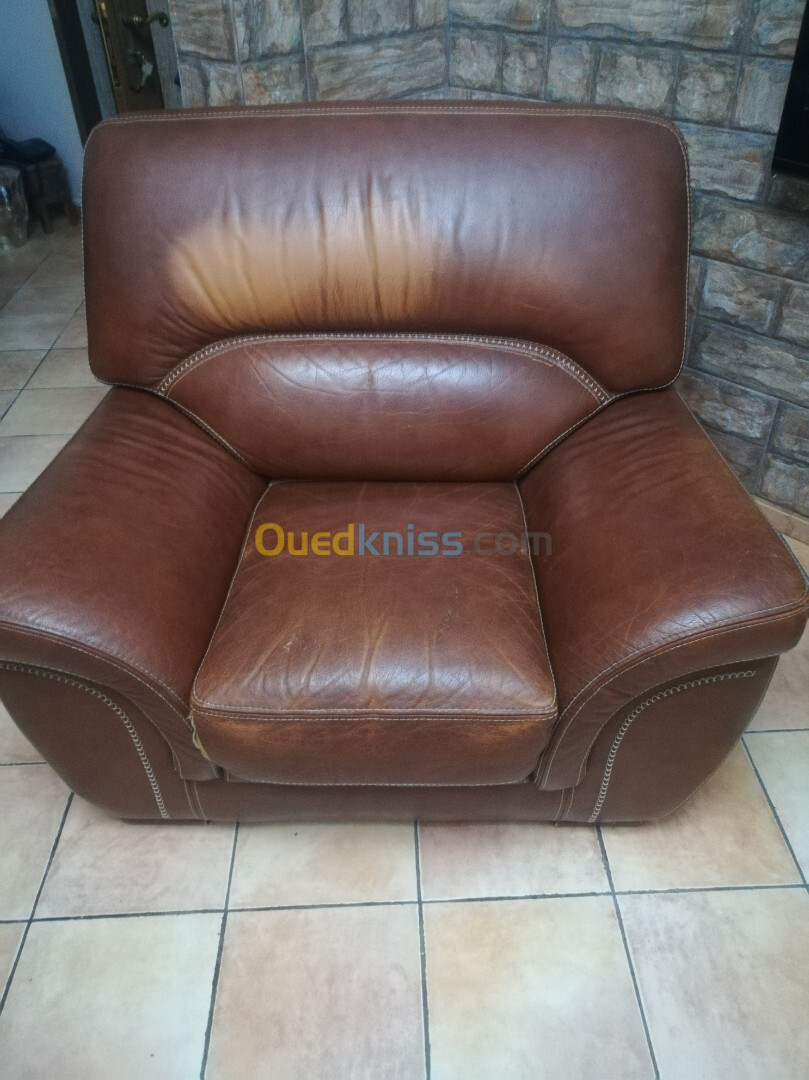 Fauteuils en cuir