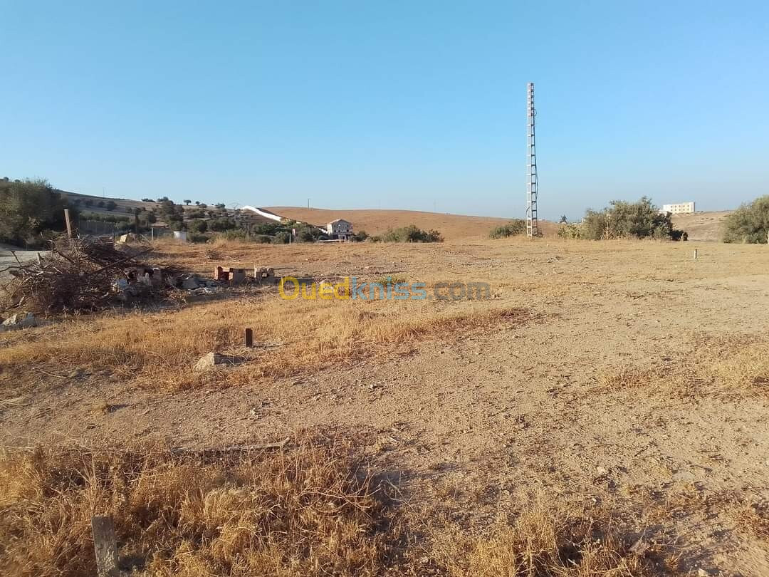 Vente Terrain Blida El affroun