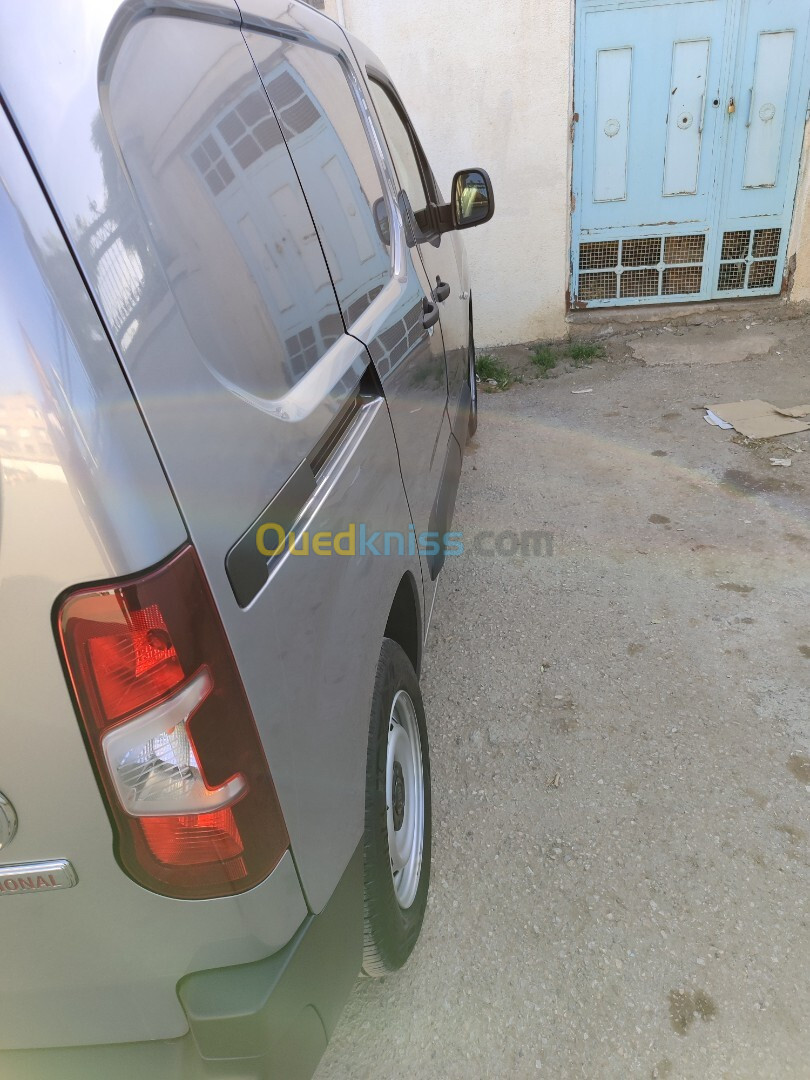 Fiat Professional Doblo 2024 Fini