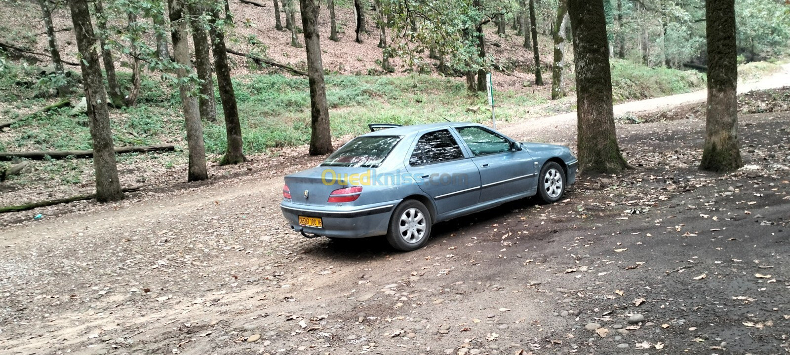 Peugeot 406 2000 