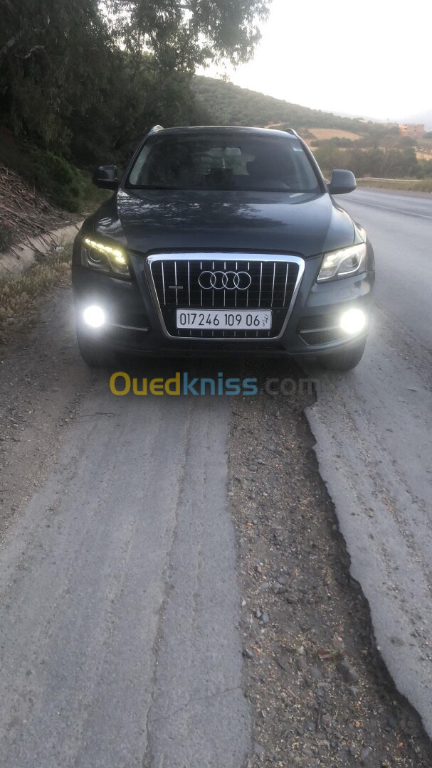 Audi Q5 2009 