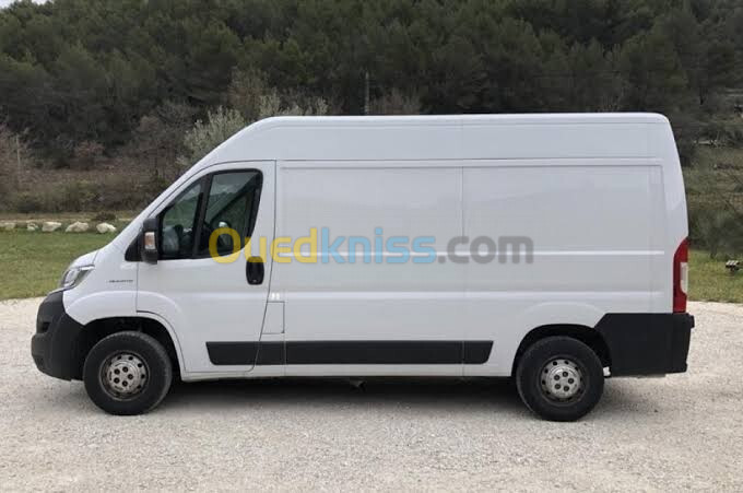 Fiat Ducato 2024 Toute