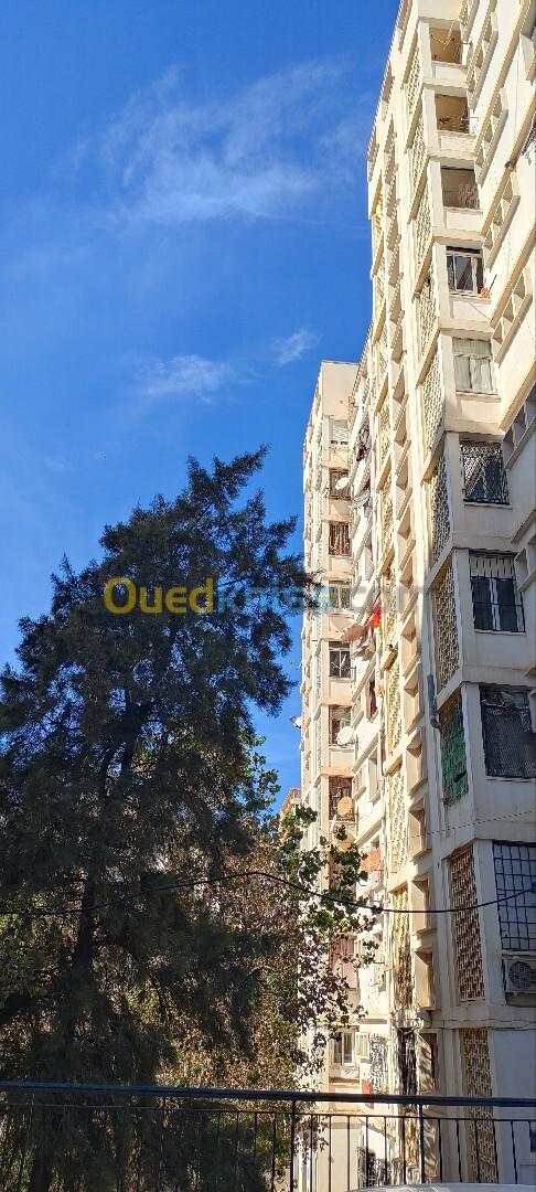 Vente Appartement F4 Alger Hydra