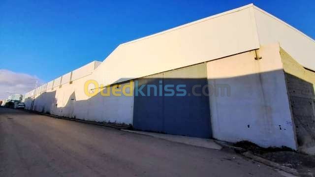 Location Hangar Setif Setif