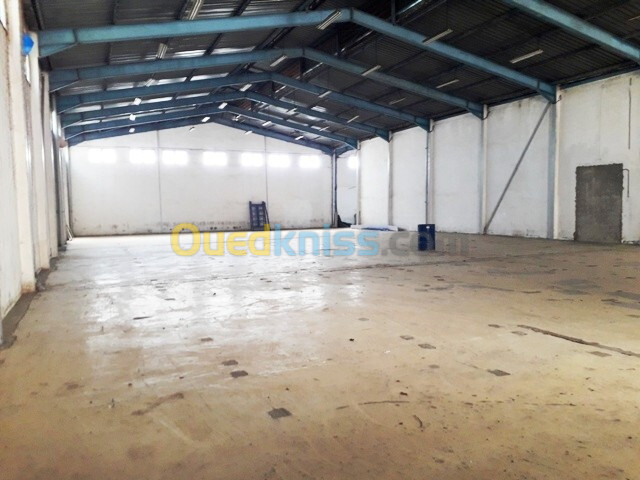 Location Hangar Alger Oued smar