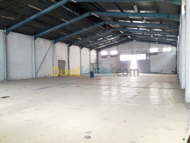 Vente Hangar Alger Oued smar