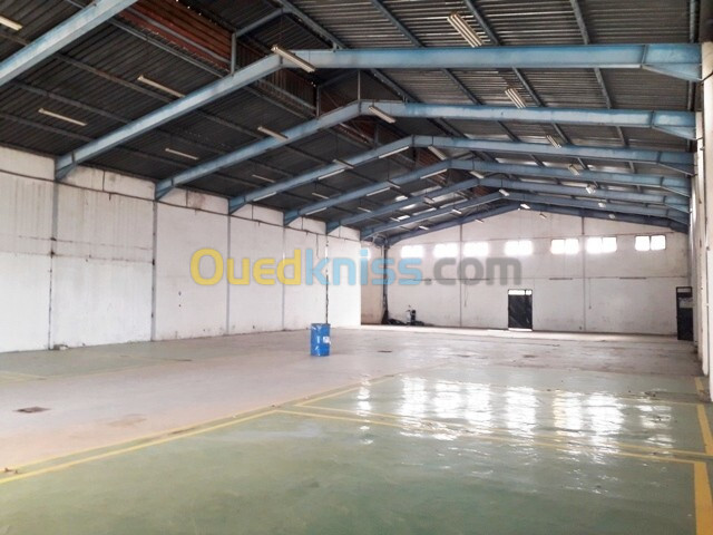 Location Hangar Alger Oued smar