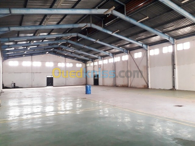 Location Hangar Alger Oued smar