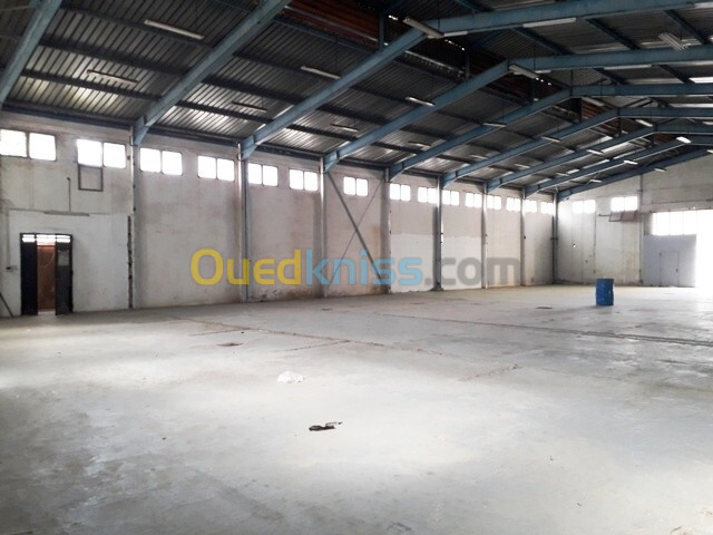 Location Hangar Alger Oued smar