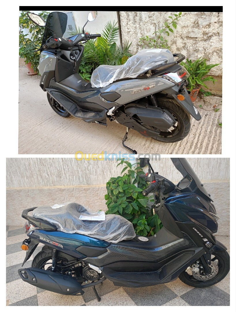 Moto N max 200 2024