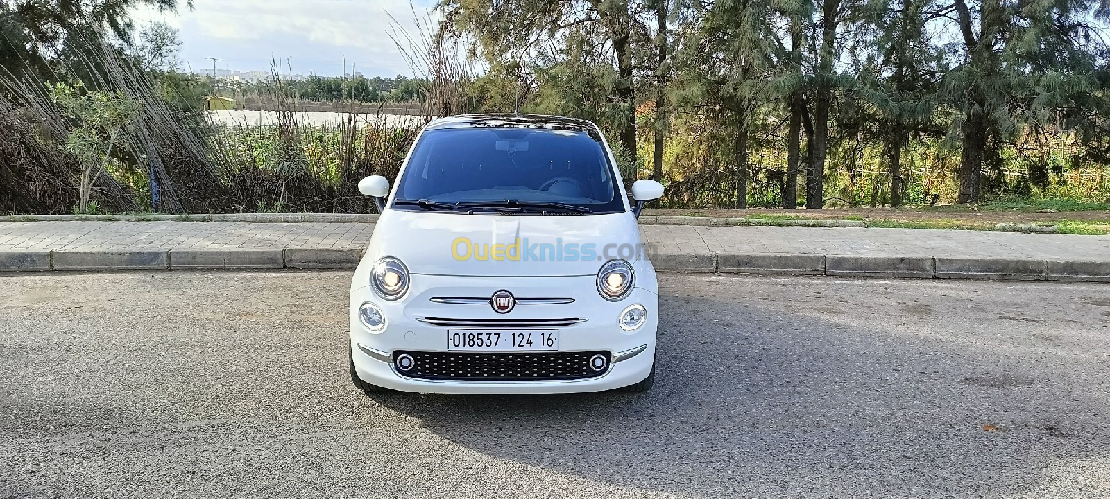 Fiat Fiat 500 2024 