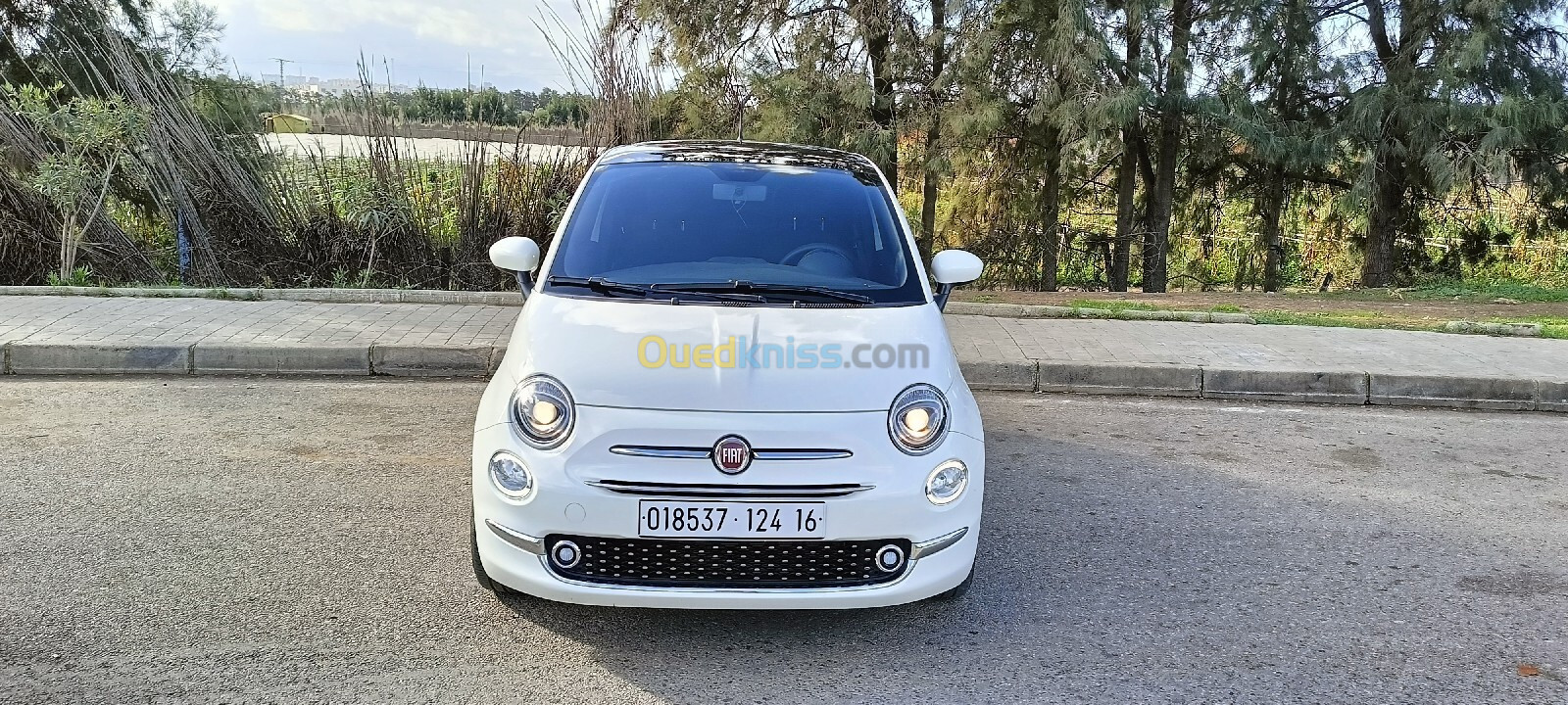 Fiat Fiat 500 2024 