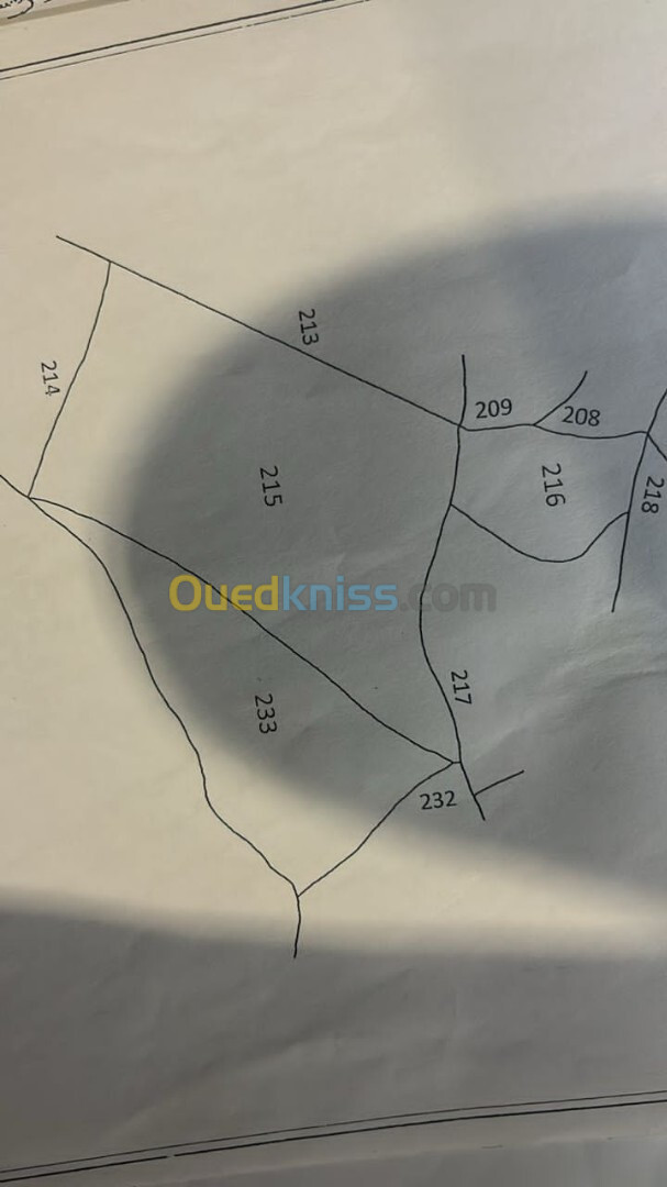 Vente Terrain Boumerdès Ouled moussa