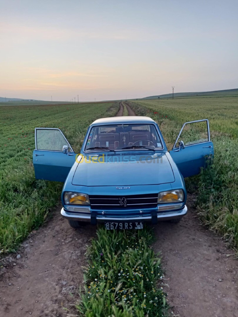 Peugeot 504 1974 Gl