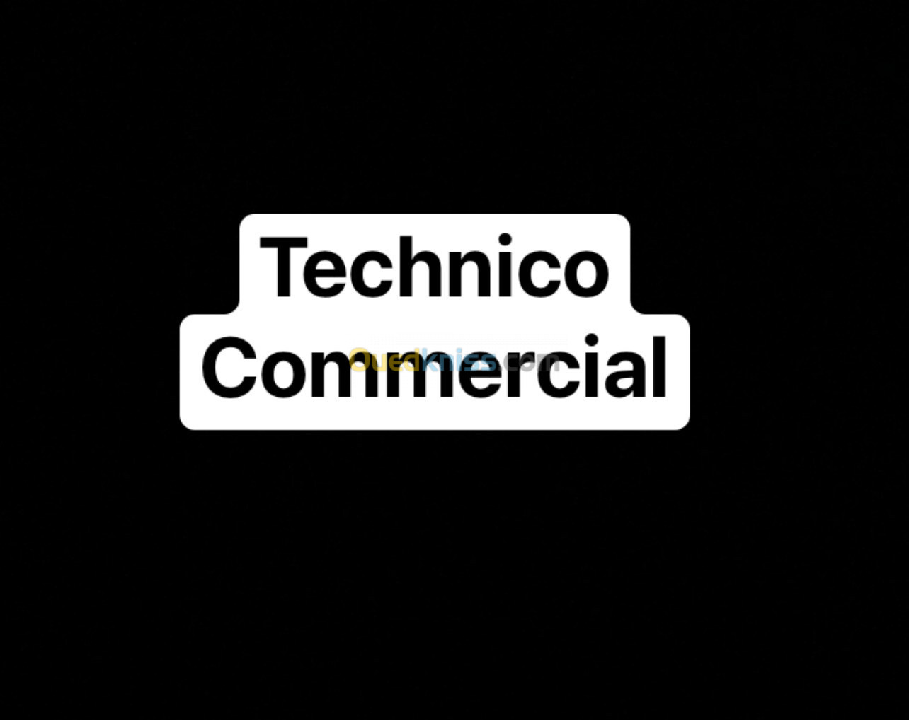 Technico commercial avec utilitaire