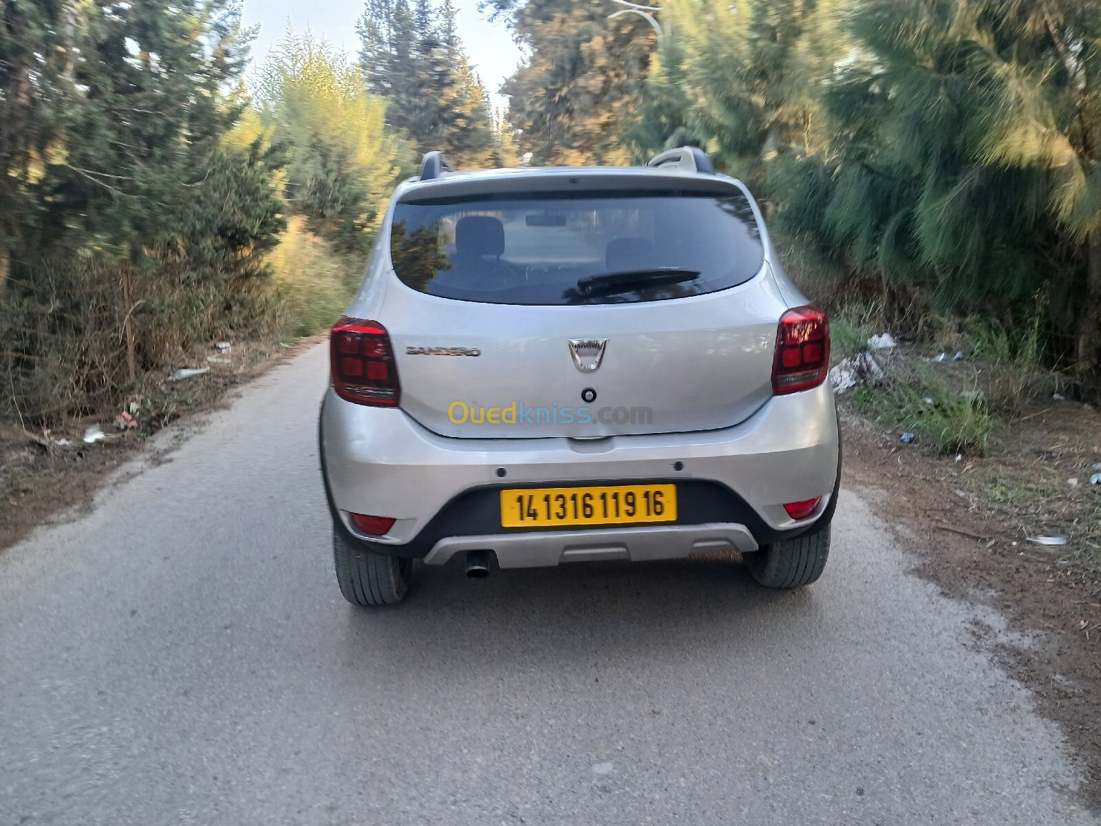 Dacia Sandero 2019 Tech Road