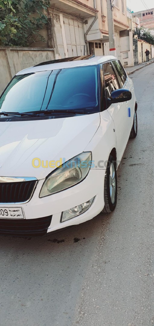 Skoda Fabia 2013 