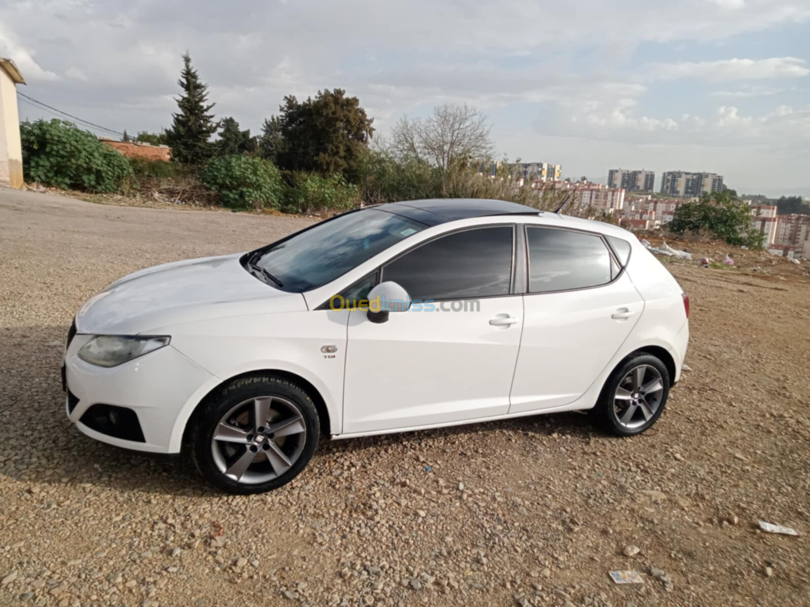 Seat Ibiza 2011 Loca