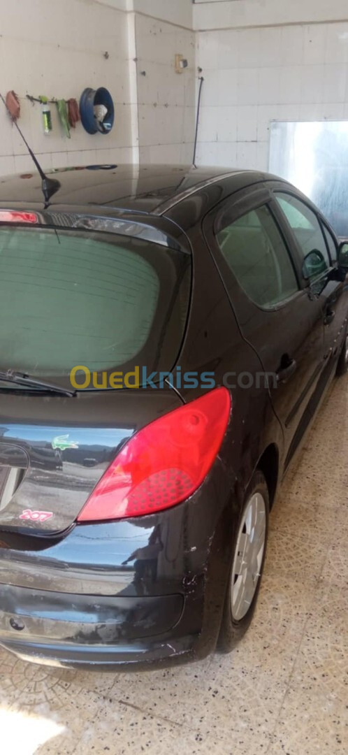 Peugeot 207 2007 207