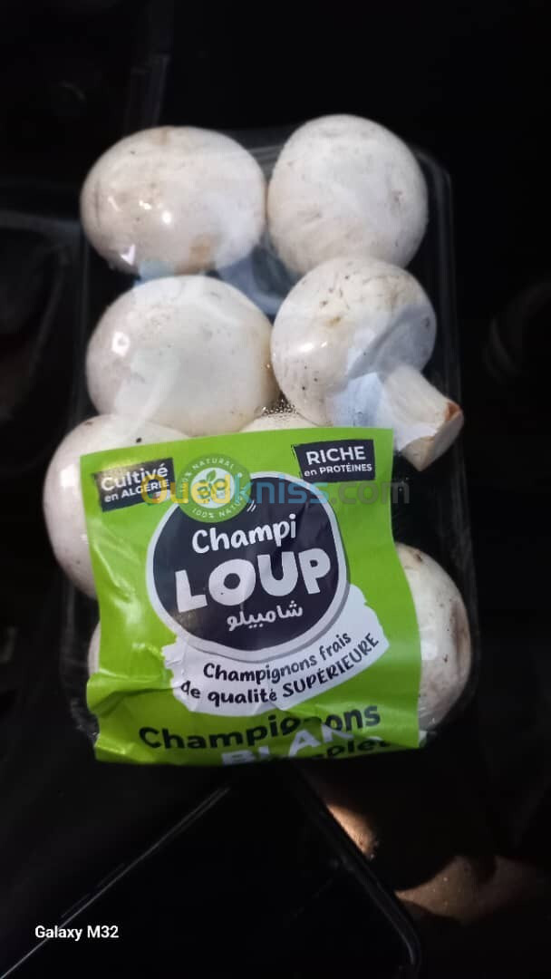 Champignons  frais blancs et marron vente seulement en gros 