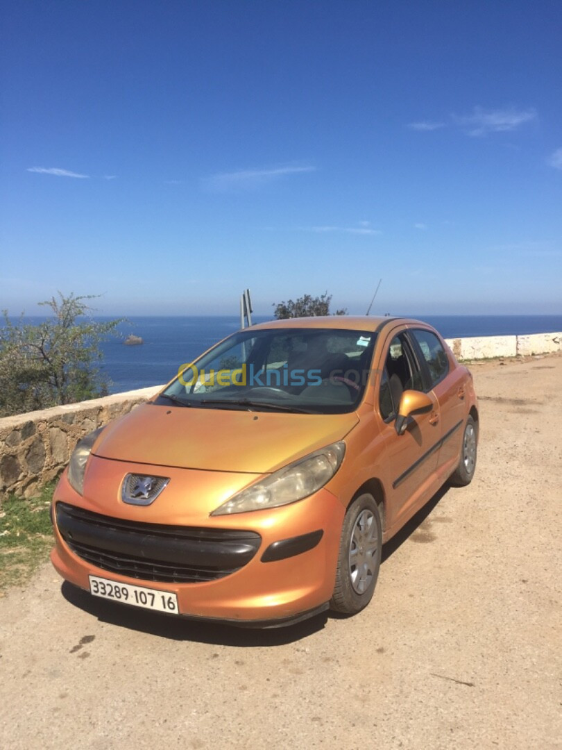 Peugeot 207 2007 Premium