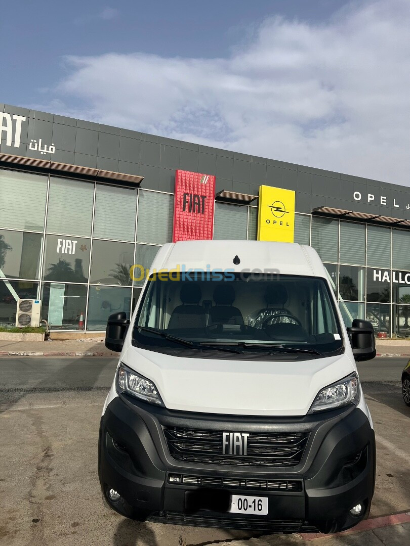 Fiat Professional Ducato 2024 